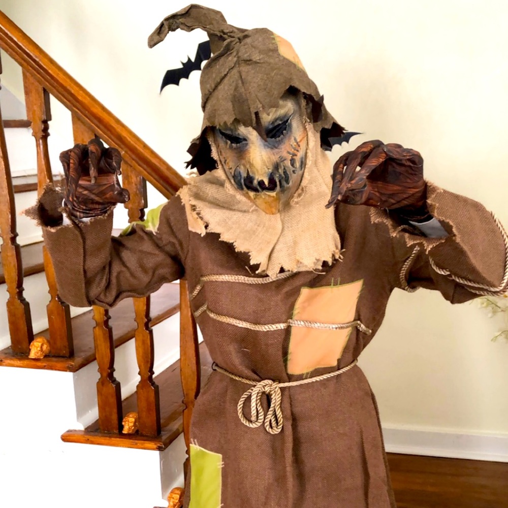 Scarecrow costume
